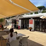 Surpresa