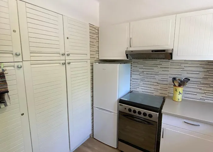 Surpresa 阿尔布费拉